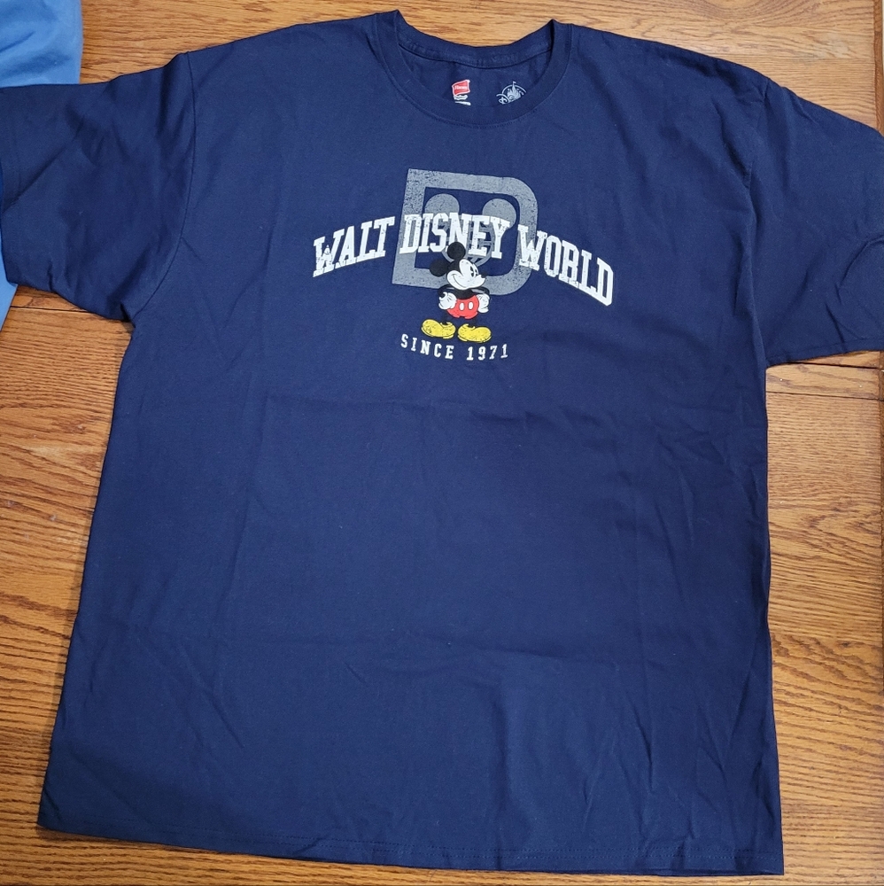 Disney Parks Hanes Tagless Walt Disney World Mickey Mouse Graphic T-Shirt Sz 2XL